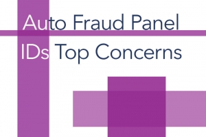 Auto Fraud Panel IDs Top Concerns